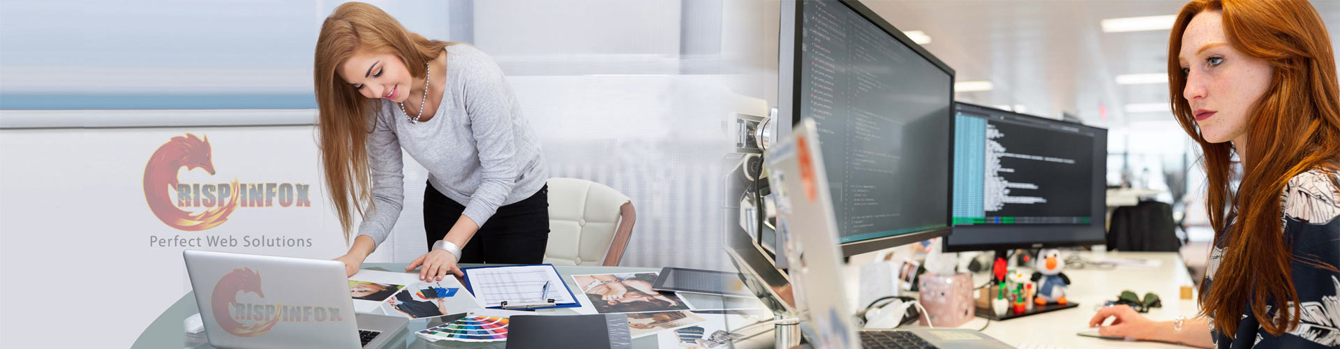 Website Design and Development Website Design and Development